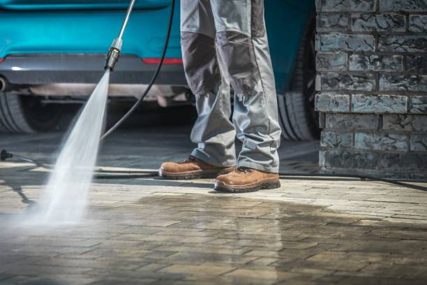 Best Driveway Cleaning and Restoration in Orange Blossom, CA