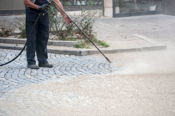 Best Residential Pressure Washing in Orange Blossom, CA